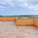 Ciumara West אבולה