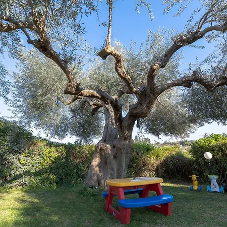 Ciumara West بيت للعطل